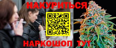 гидра Моздок