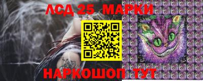 гидра Моздок