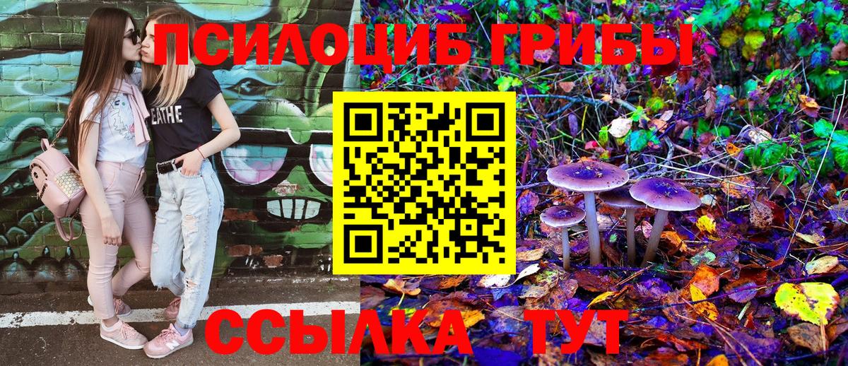 Гудермес  Галлюциногенные грибы Psilocybine cubensis  где можно купить   Вход с VPN 