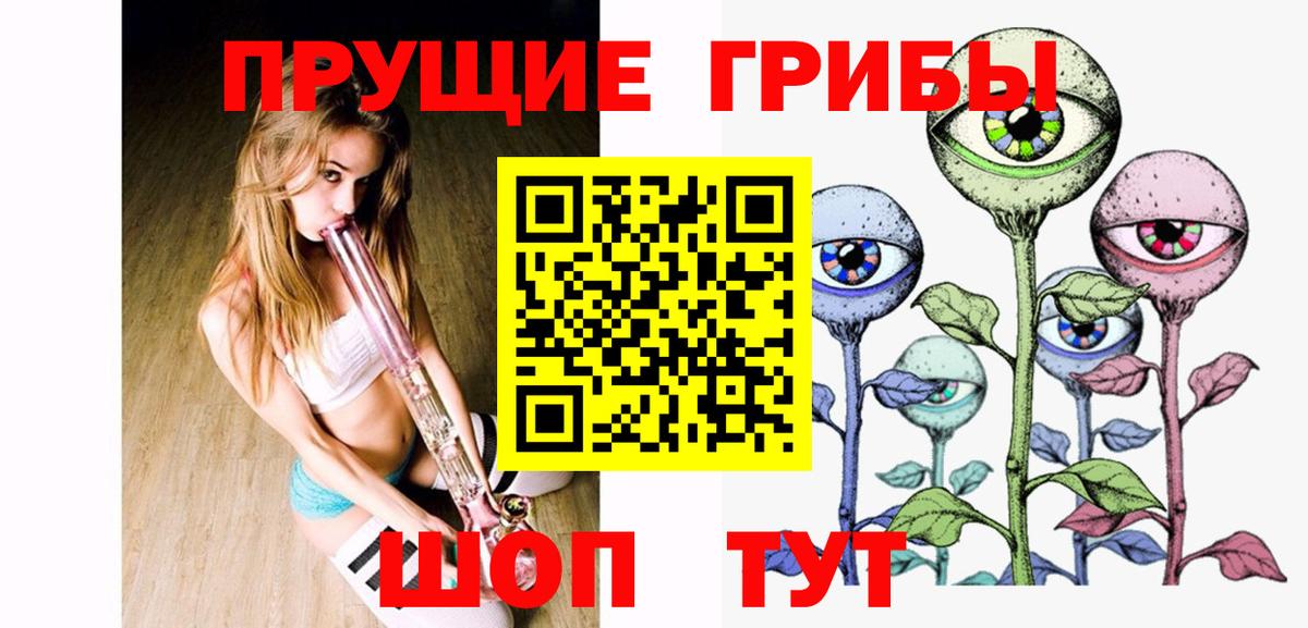 Псилоцибиновые грибы Psilocybe Гудермес