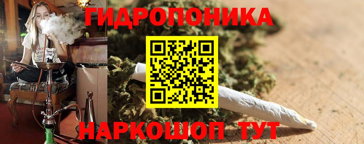 Гудермес  Бошки Шишки конопля  Вход с VPN  Шишки марихуана White Widow  Канабис AK-47  Бошки Шишки White Widow 